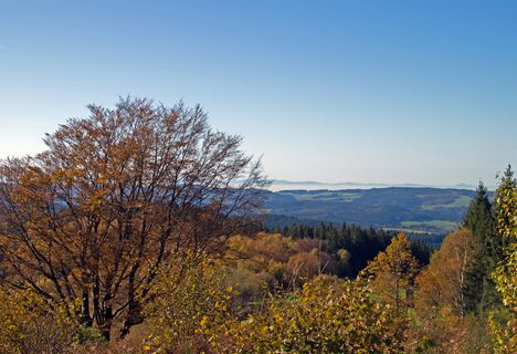 Der Herbst im Schwarzwald