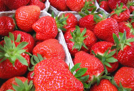 Probieren Sie unsere köstlichen Erdbeeren vom Hinterschlauchbauernhof