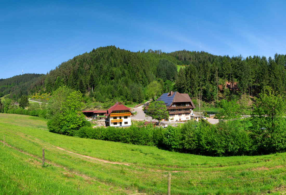 Der Hinterschlauchbauernhof in Gutach (Schwarzwaldbahn)